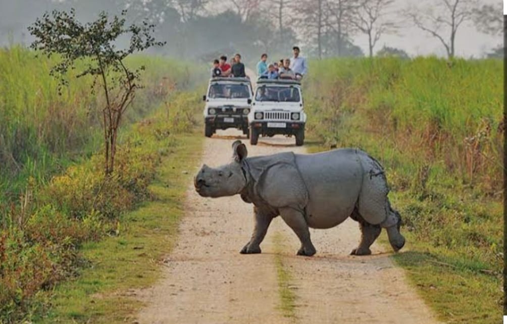 Majuli and Kaziranga Image 3